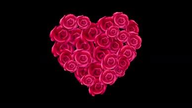 浪漫情人节玫瑰爱心视频的预览图